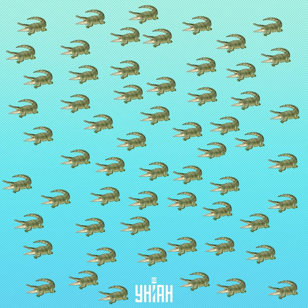 Plaz je skrytý, ale mali by ste ho vidieť za 15 sekúnd / Koláž Moje