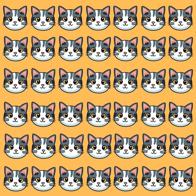 Tento optický klam je možný len pre ľudí s grandióznym IQ / Moje image